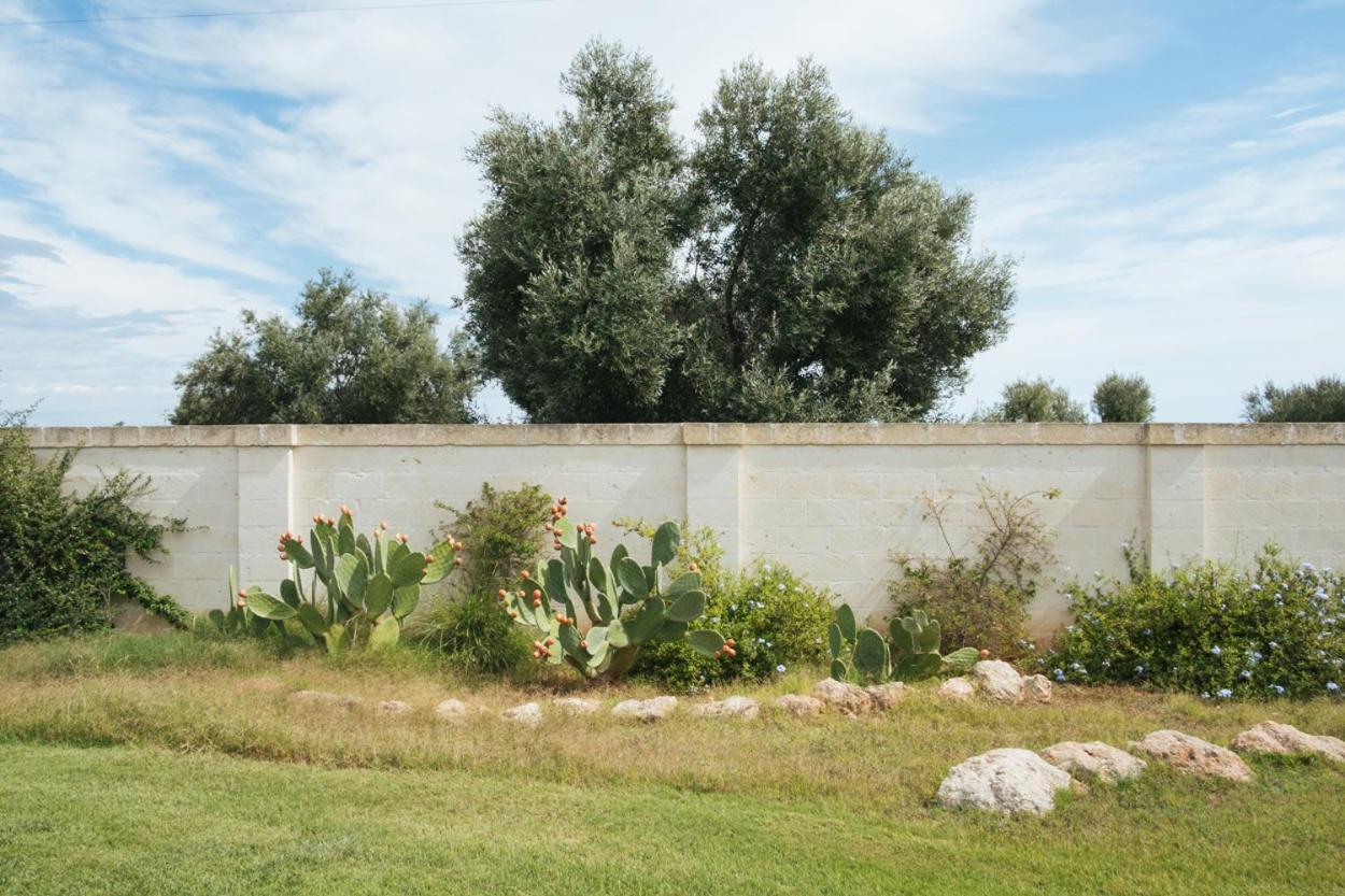 Masseria Torremossa فاسانو المظهر الخارجي الصورة