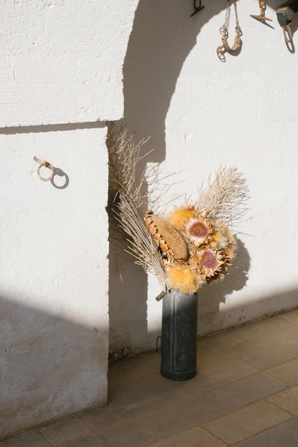 Masseria Torremossa فاسانو المظهر الخارجي الصورة