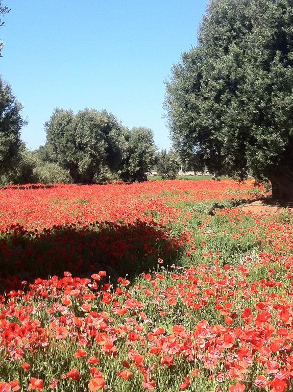 Masseria Torremossa فاسانو المظهر الخارجي الصورة