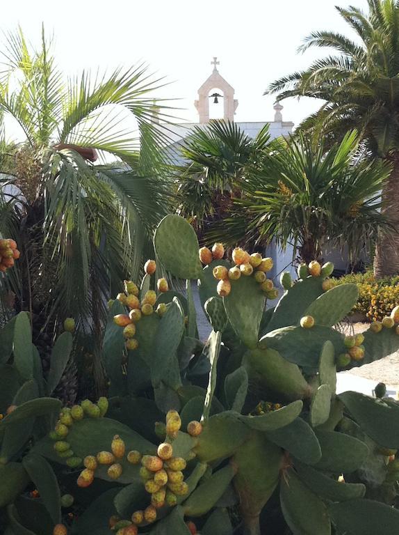 Masseria Torremossa فاسانو المظهر الخارجي الصورة