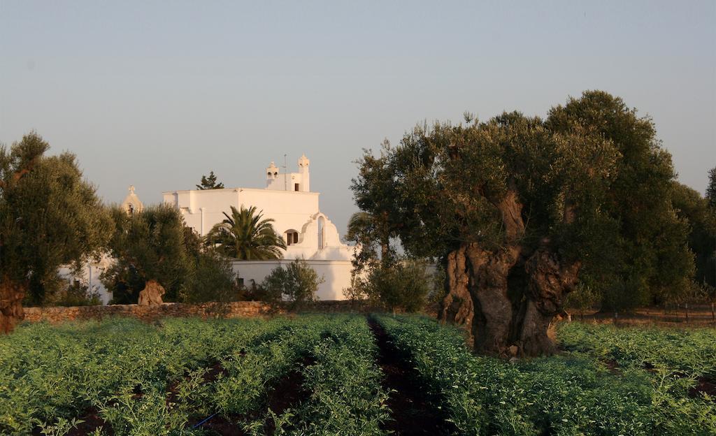 Masseria Torremossa فاسانو المظهر الخارجي الصورة