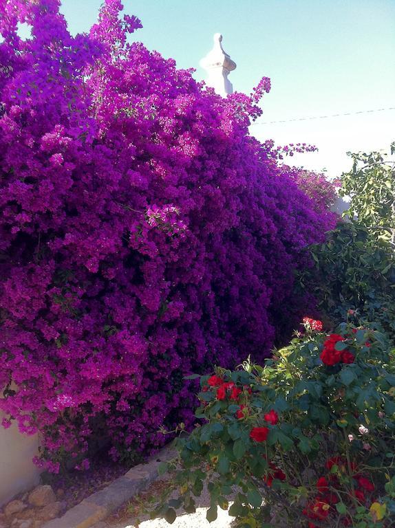 Masseria Torremossa فاسانو المظهر الخارجي الصورة